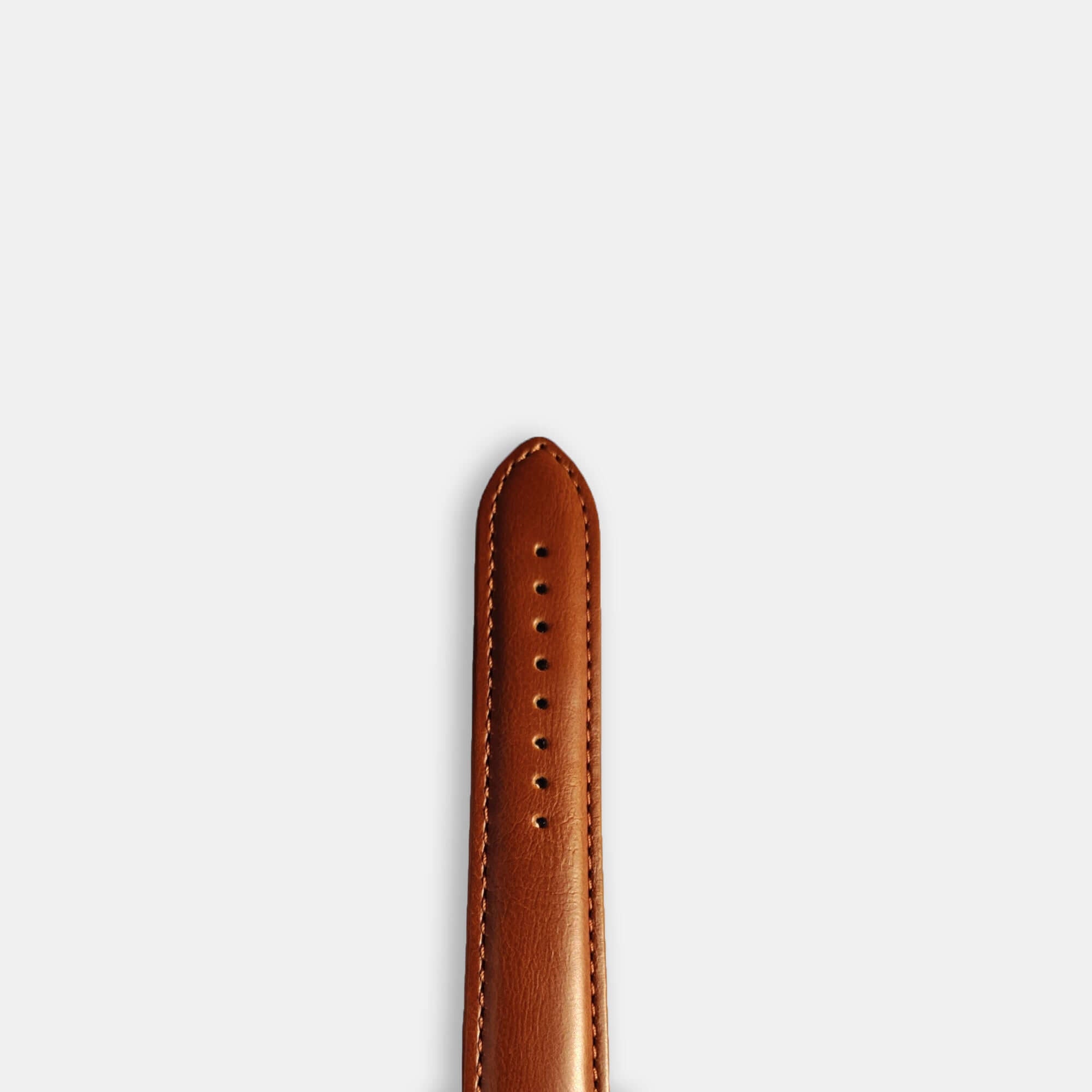 Leather Strap